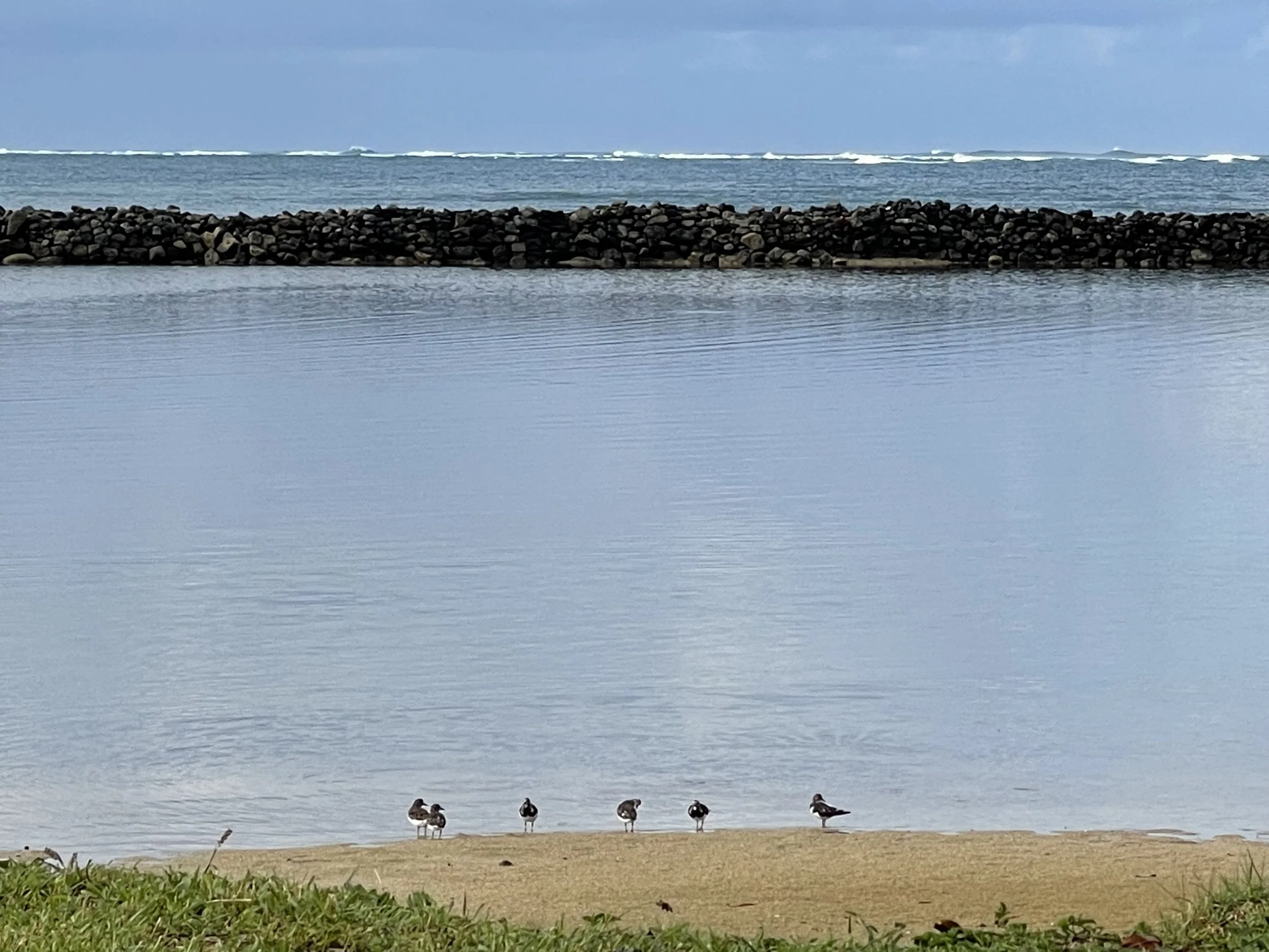 Hoʻāla ke Kilo Spring 2024