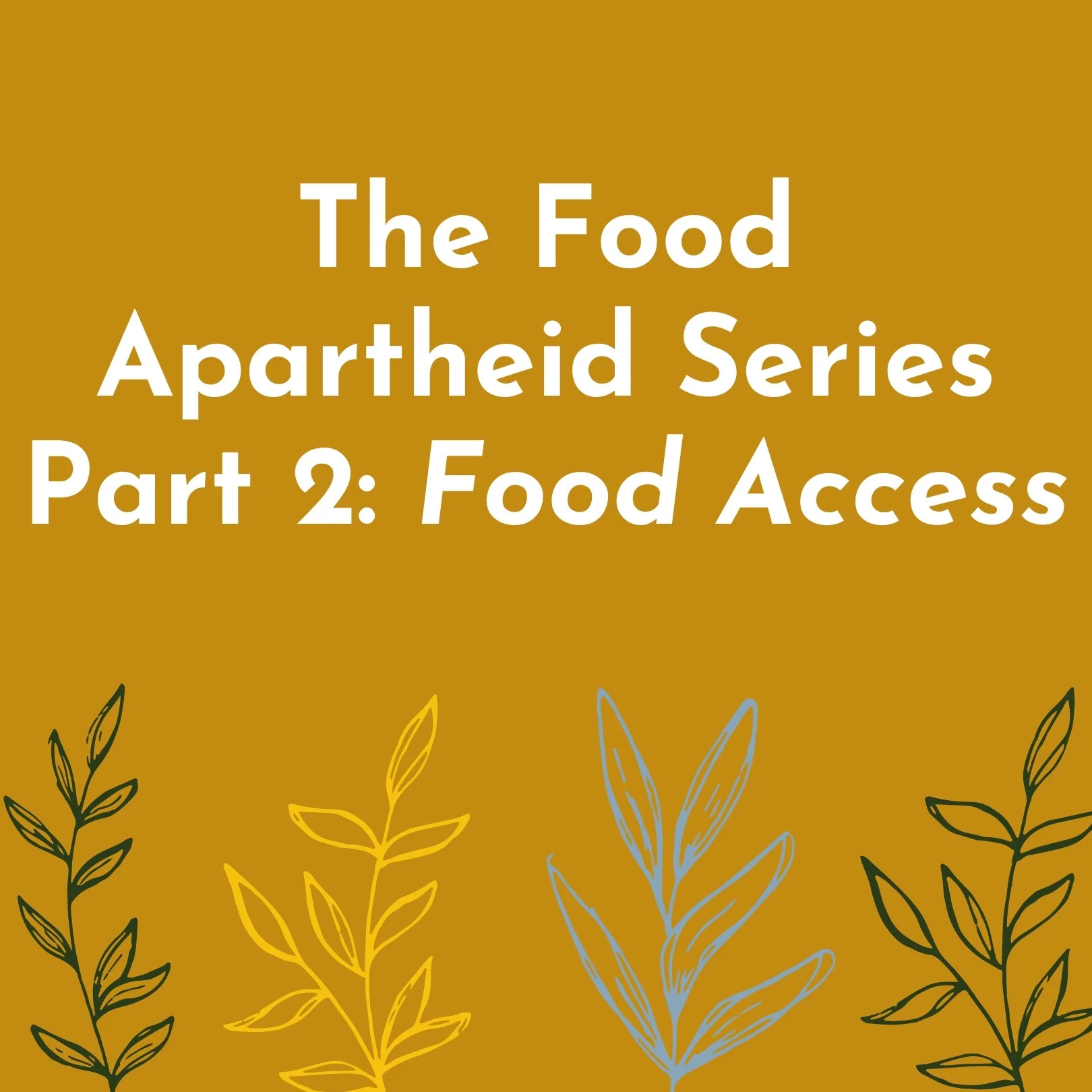 The Food Apartheid Series Part 2: Food Access