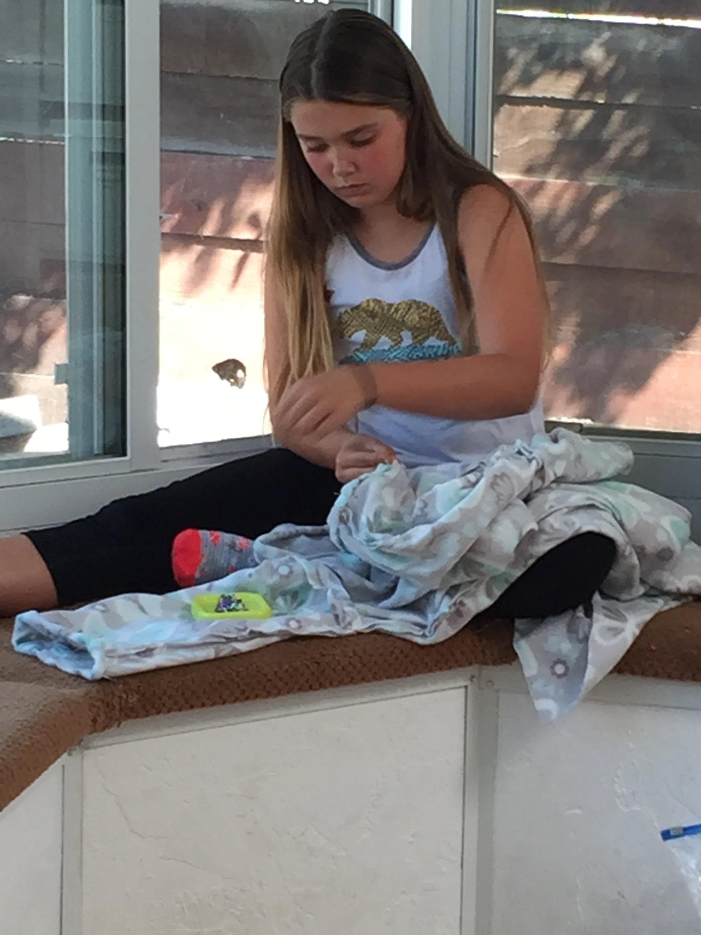 Sewing this past week