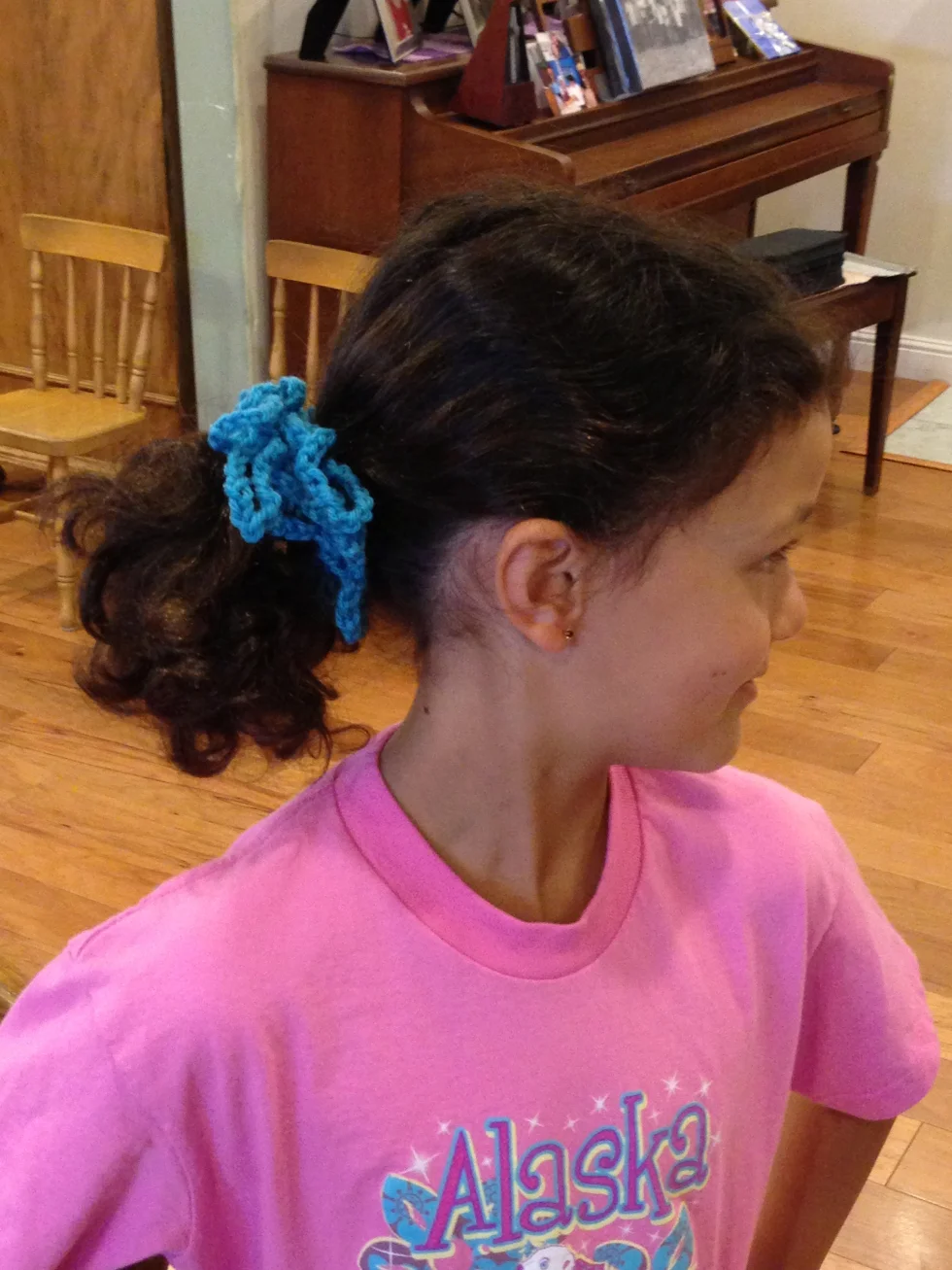 Hair Scrunchie
