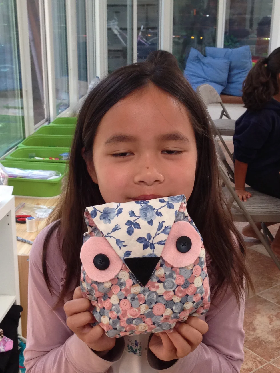 4th grader owl pillow.