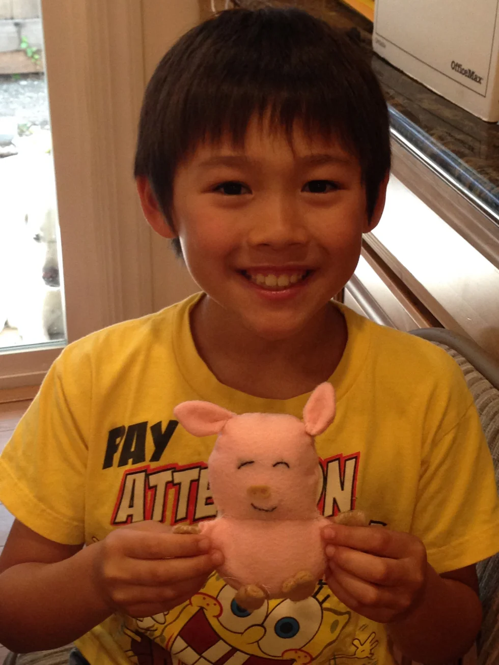 3rd grade tiny pig.
