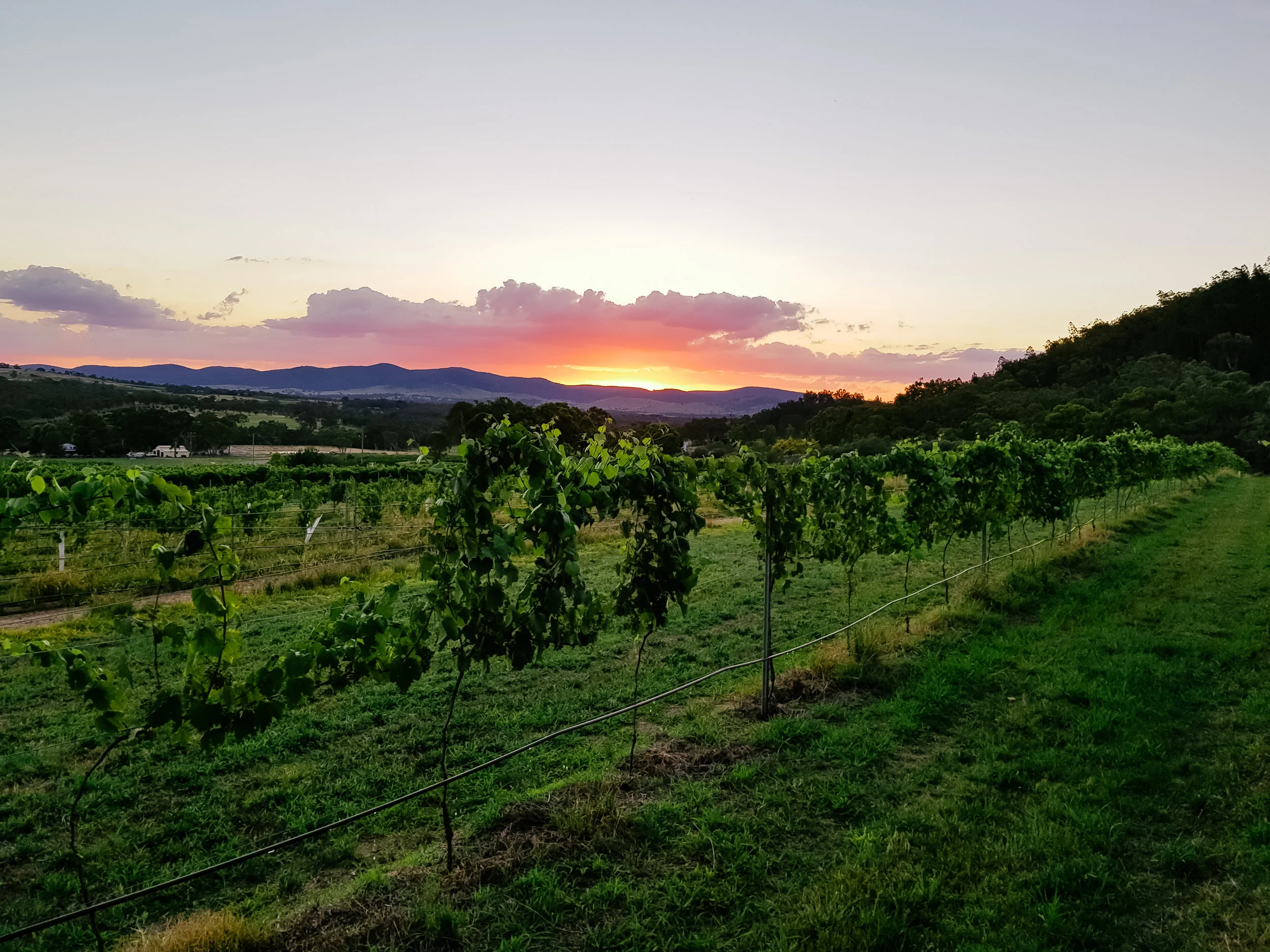 About Us Sancerre Estate