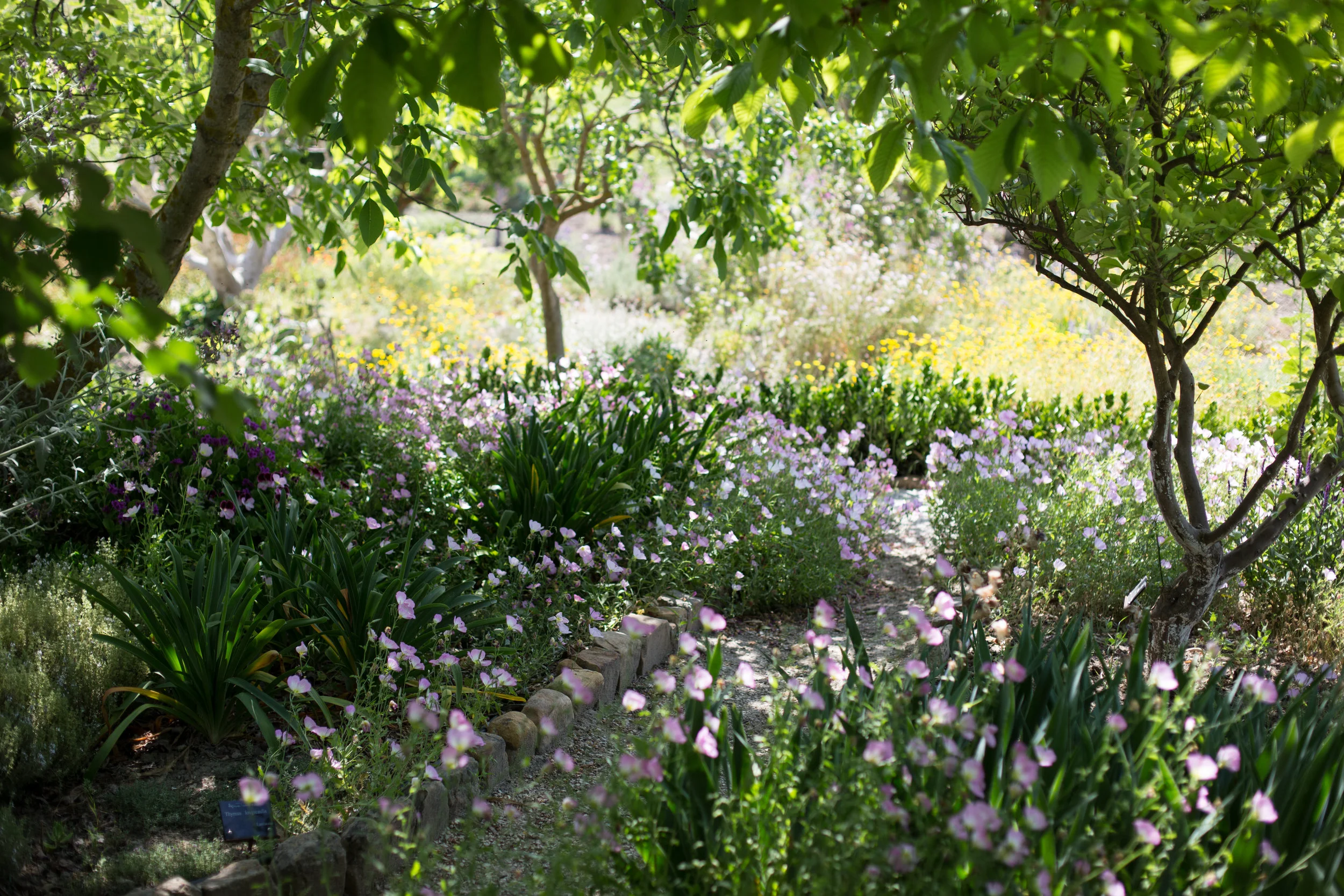 A Sicilian Food Odyssey