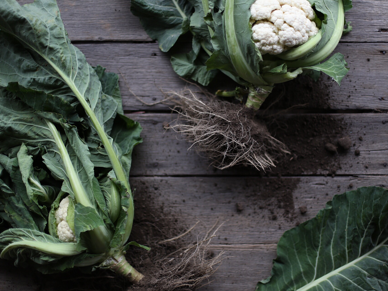 Make your own veggie wash