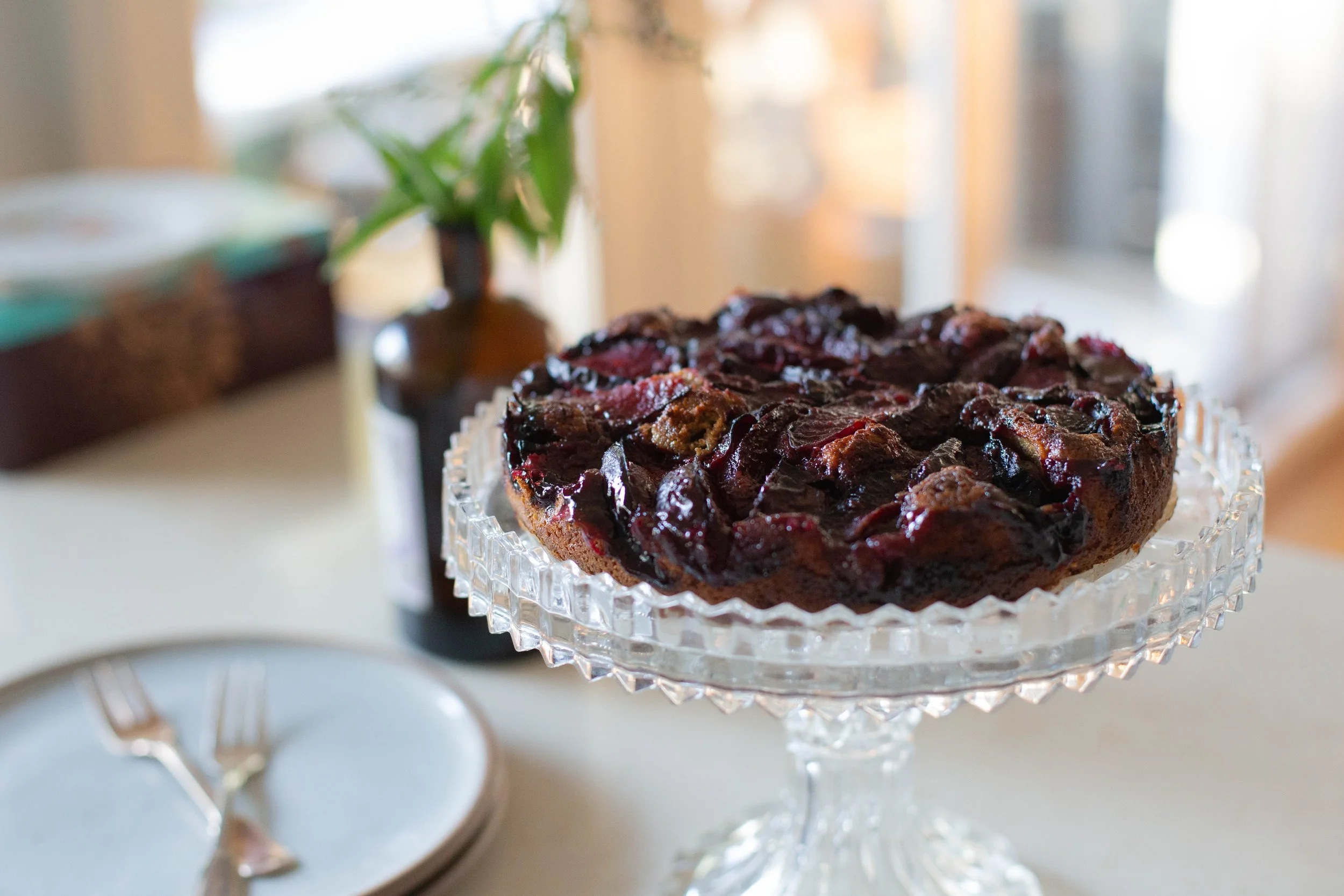 Summer musings, seed crackers and plum cake recipes and outdoor shower renovation tips