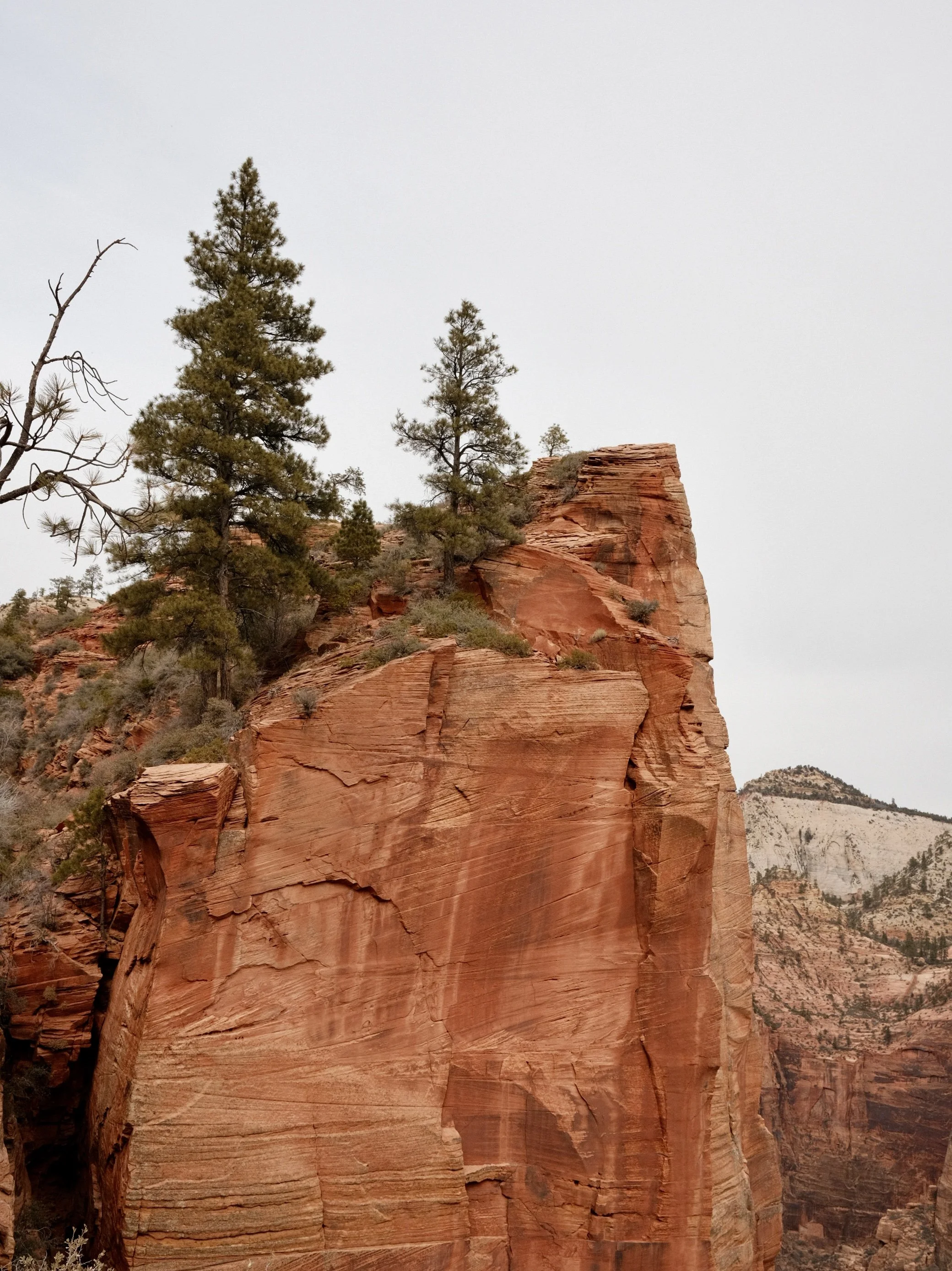 Zion National Park