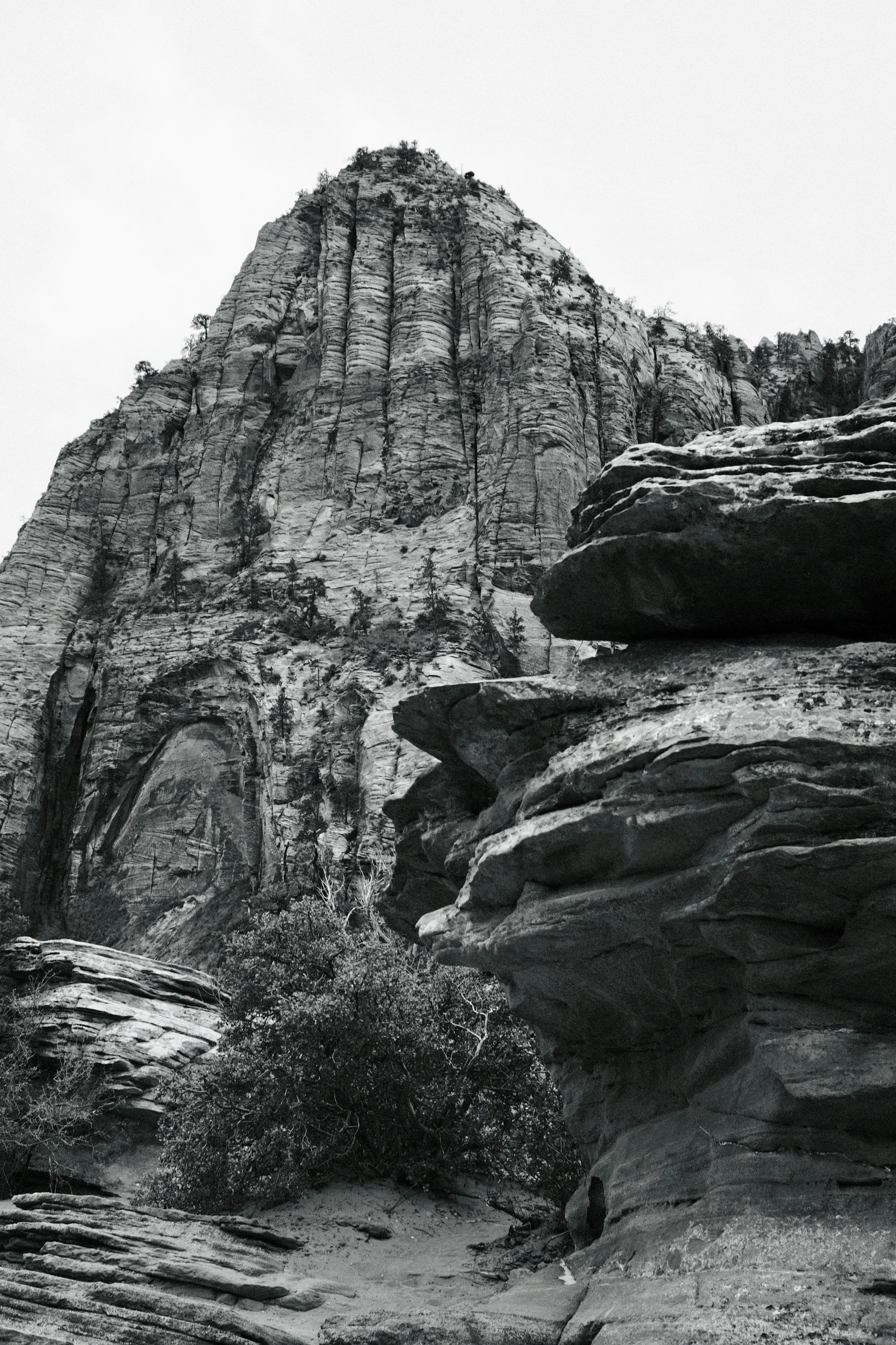 Zion National Park