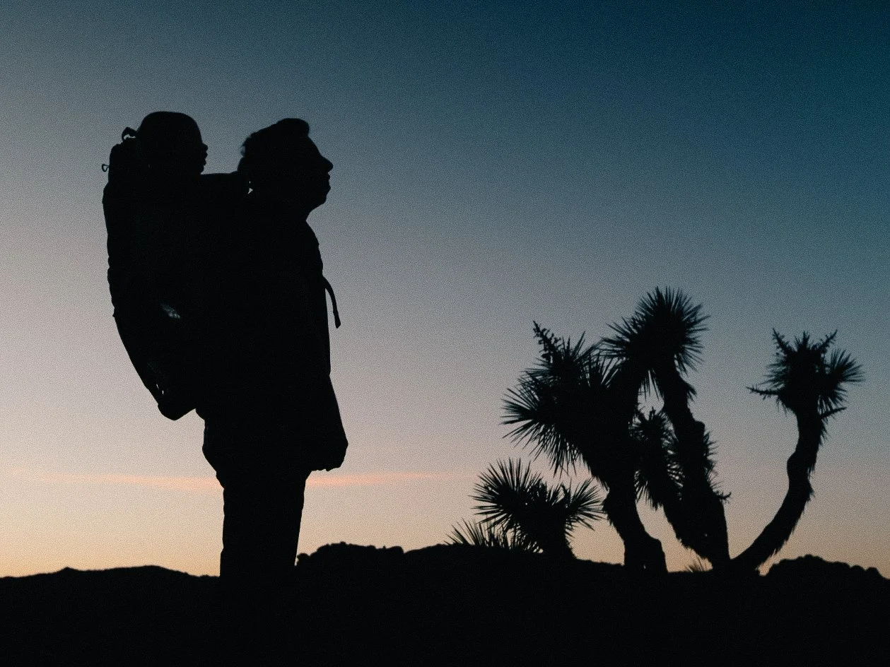 Silhouettes / Joshua Tree National Park