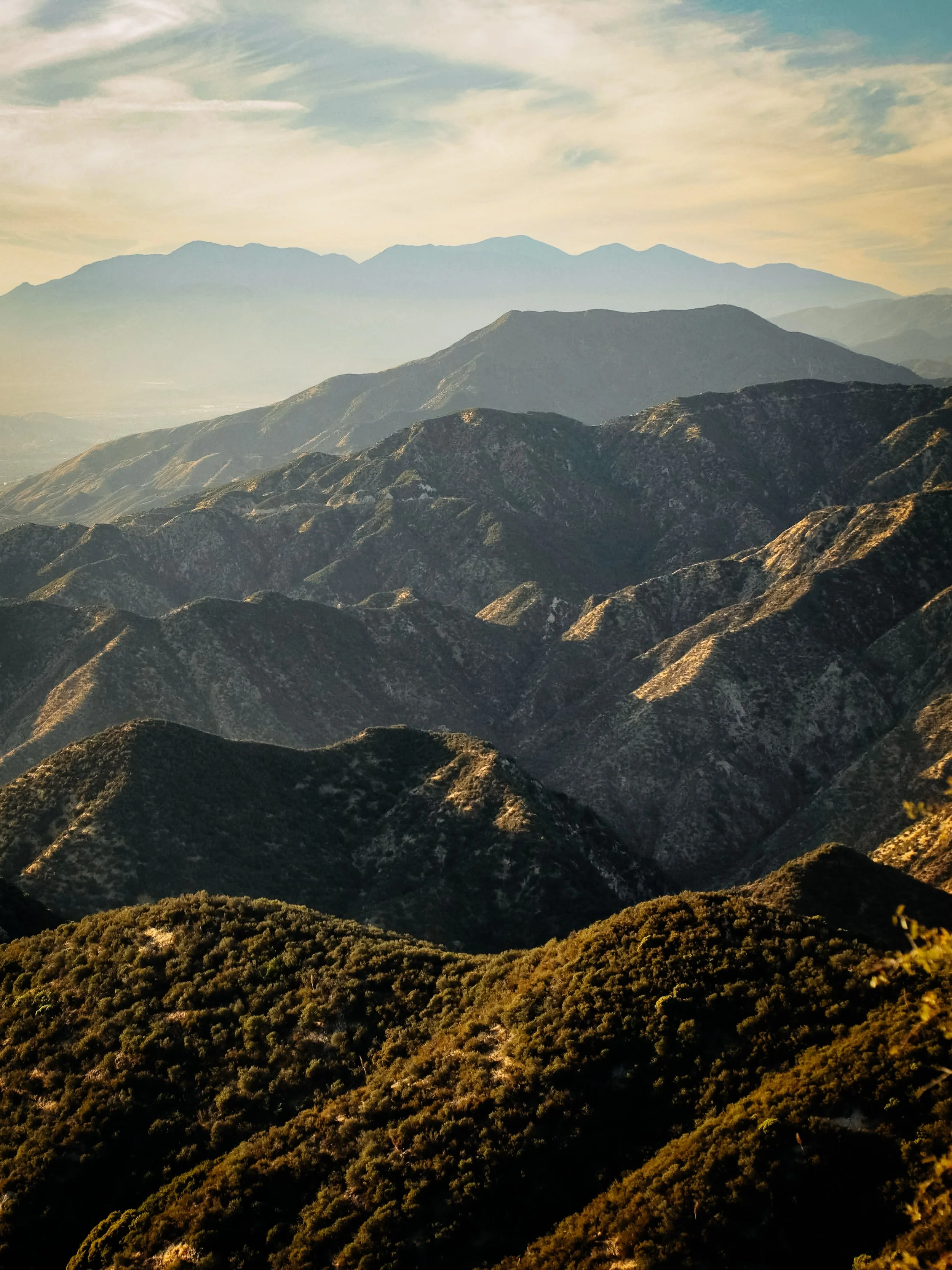 Angeles National Forest