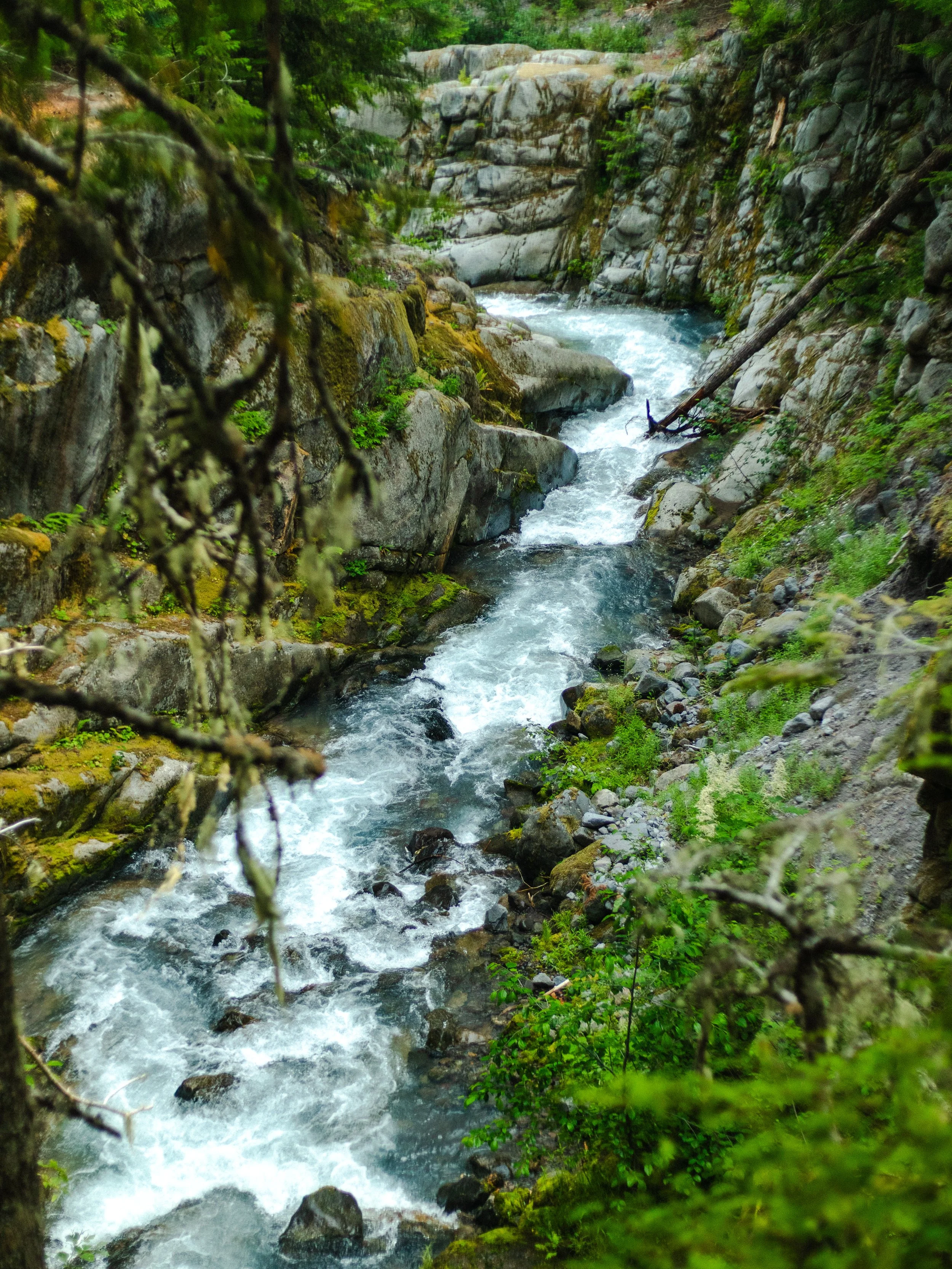 Mount Rainier National Park