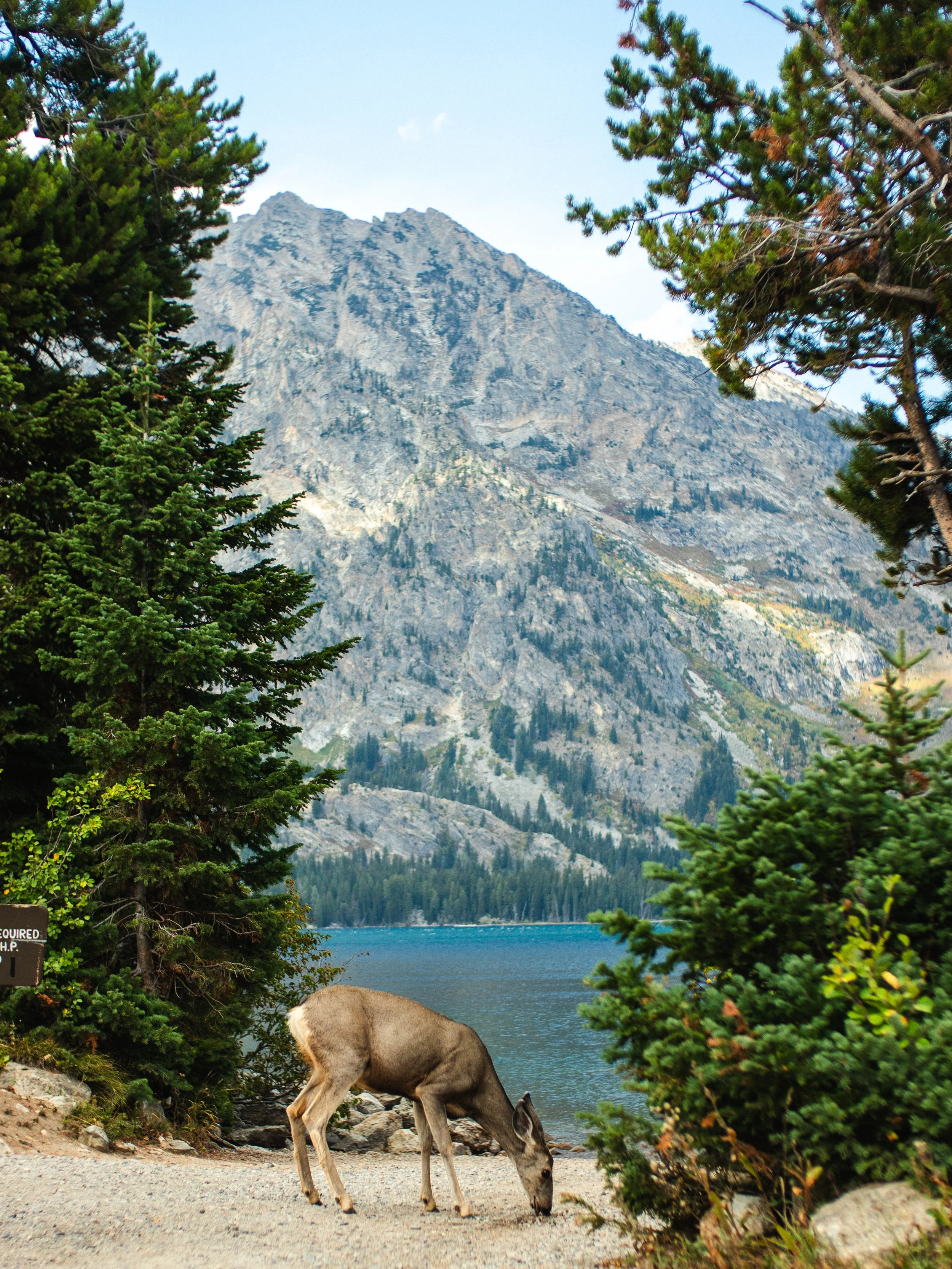 Grand Teton National Park