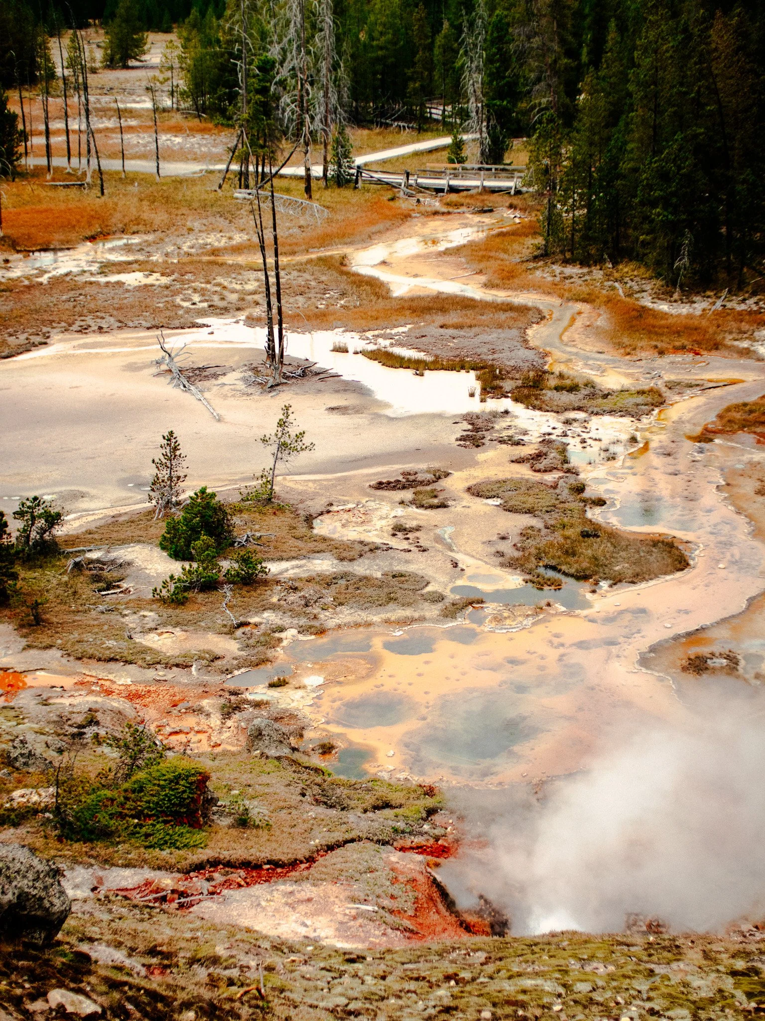 Yellowstone National Park
