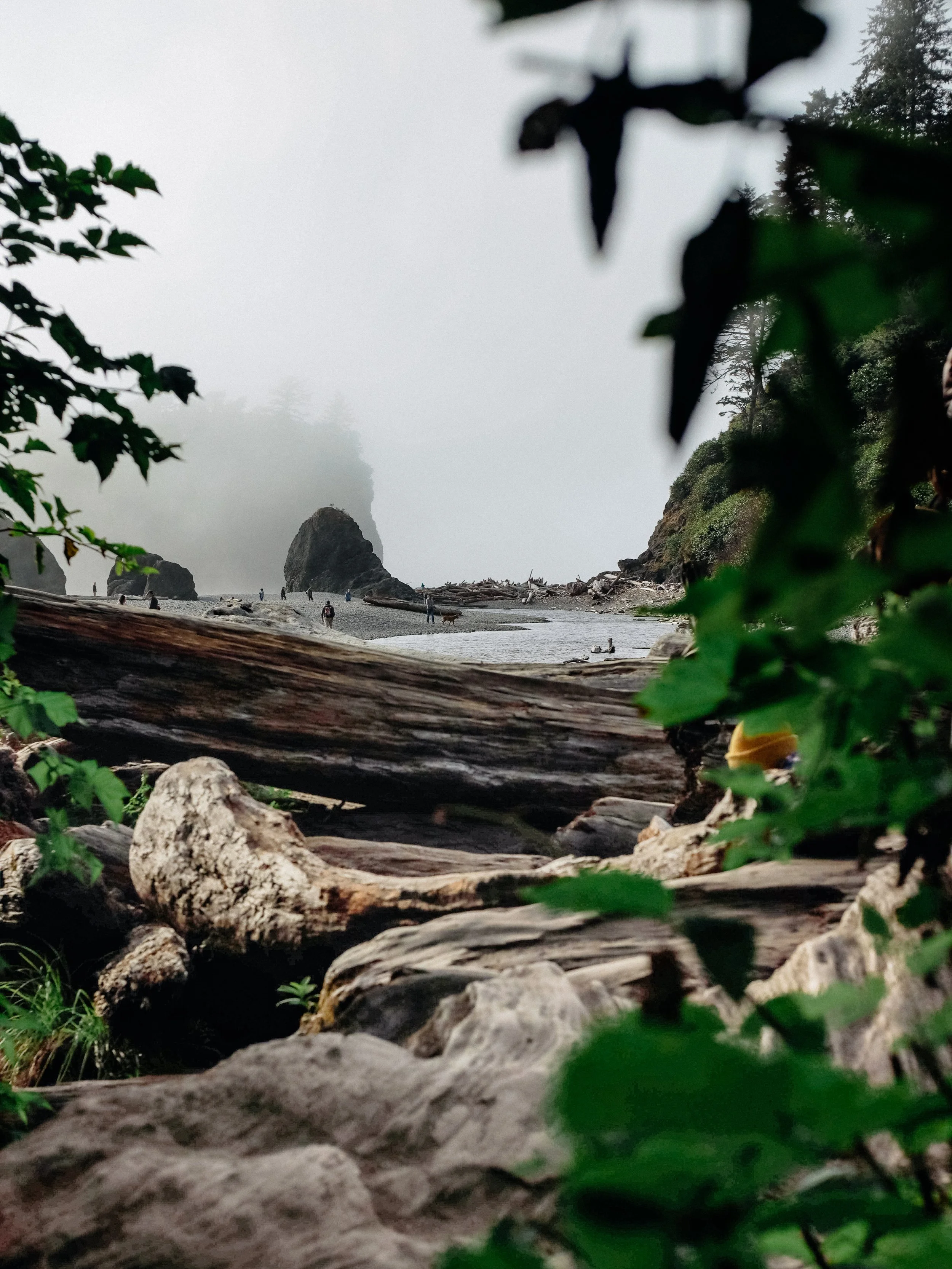 La Push / Ecola State Park