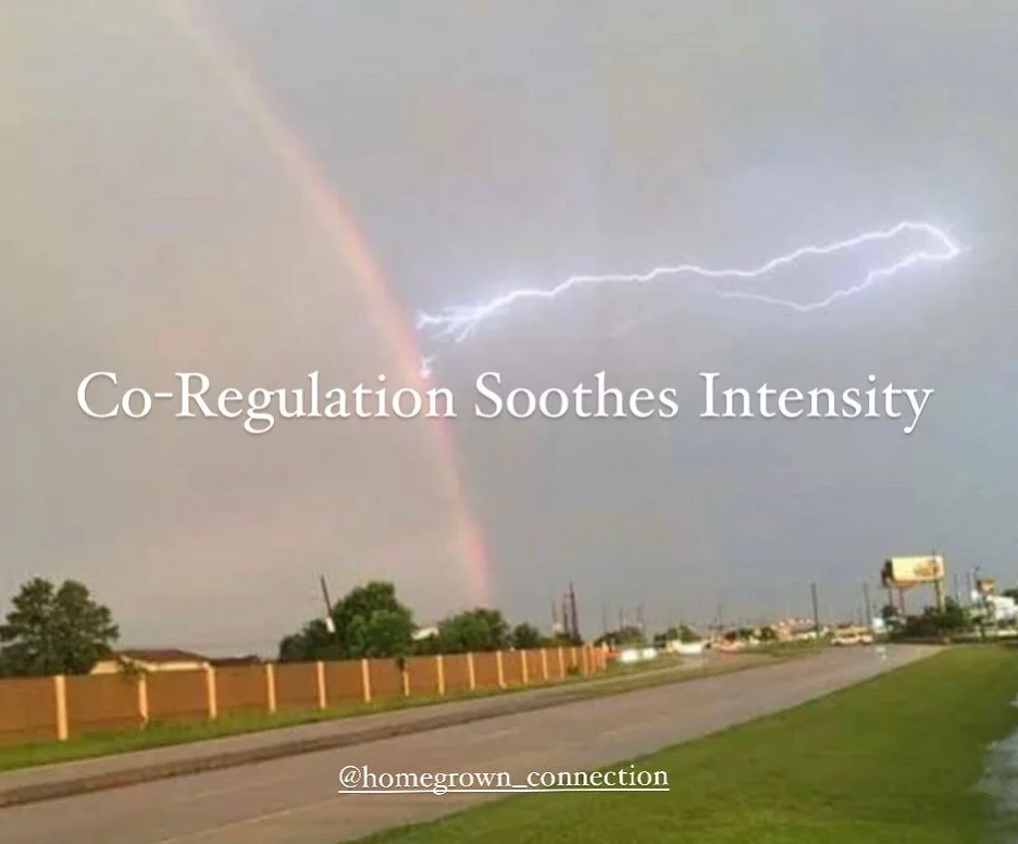 Co-Regulation Soothes Intensity

In integrating what pushes us out of homeostasis

Somatically 

Processing emotions and needs through physical means

Identifying and opening states of constriction

We complete and close a circuit

So that a greater 