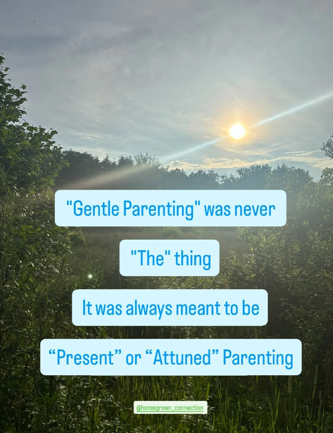 &ldquo;Gentle parenting&rdquo; like many idealistic claims, had a noble goal

&ldquo;I want a more loving environment for my child.&rdquo;

Not one where spanking, yelling, or punishment might have been used,

but like many a good thing, we took it t
