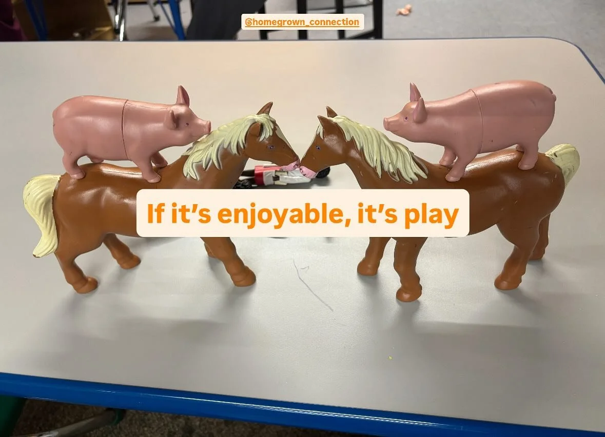 If it&rsquo;s enjoyable, it&rsquo;s play

Assorting items is play

Just like when I say I&rsquo;m going to &ldquo;play around with&rdquo; my tackle box a.k.a sort it so it looks appealing 

Let&rsquo;s call it early learning standard AL.2 PK.D on the