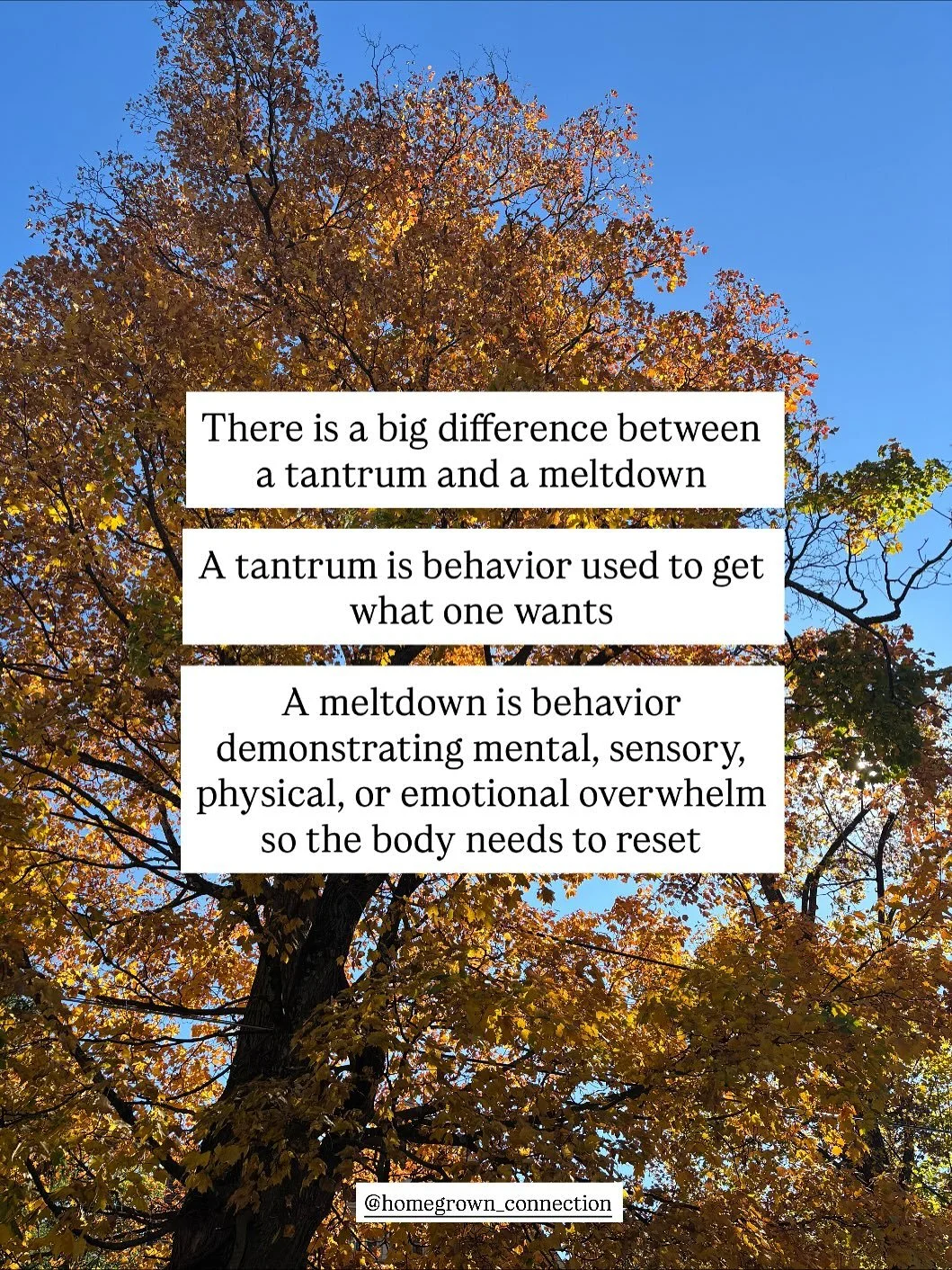 Tantrums versus meltdowns

There is a big difference between a tantrum and a meltdown

A tantrum is behavior used to get what one wants

A meltdown is behavior demonstrating mental, sensory, physical, or emotional overwhelm so the body needs to reset