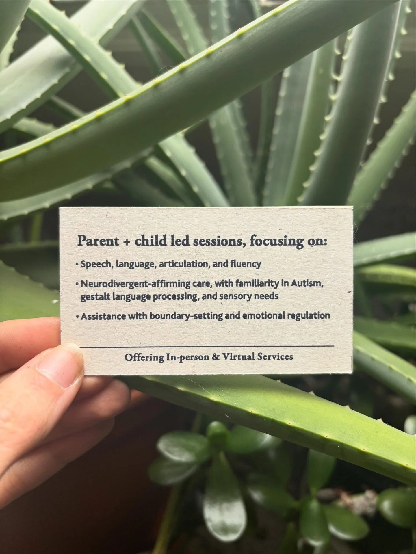 Offering over 12 years of experience I. speech language pathology services for parent + child led sessions, focusing on: 

&bull; Speech, language, articulation, and fluency

&bull; Neurodivergent-affirming care, with familiarity in Autism, gestalt l