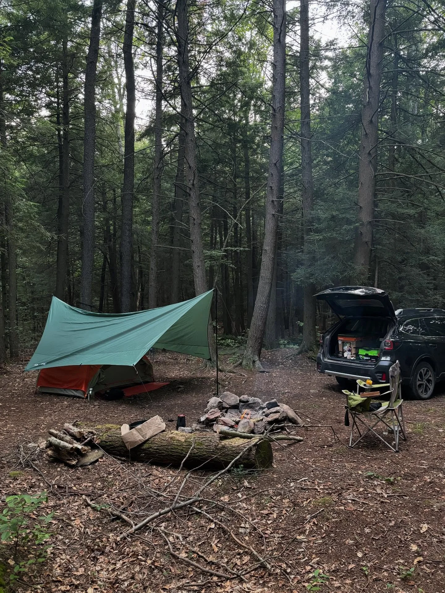 Here to play a game:

Can you find 3 differences between the two pictures of my first solo camp site?

Send a private message with your answer, and you will be entered into a pool to win a prize of either:

Speech therapy session with your child
Phon