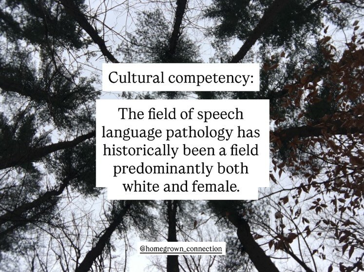 Cultural competency:

The field of speech language pathology has historically been a field predominantly both white and female. 

In fact, the American Speech-Language-Hearing Association (ASHA) reported in 2024 that 92% of SLPs were white and 89% we