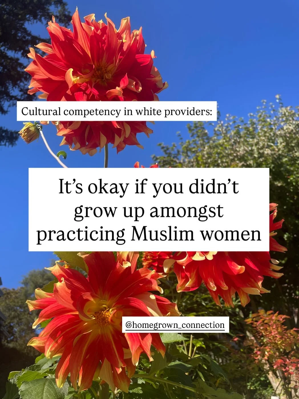 Cultural competency:

It&rsquo;s okay if you never grew up amongst practicing Muslim woman. 

But if you spend time with or around them, make sure you can connect in the baseline of the vocabulary of their clothing items. 

What double standard is wa