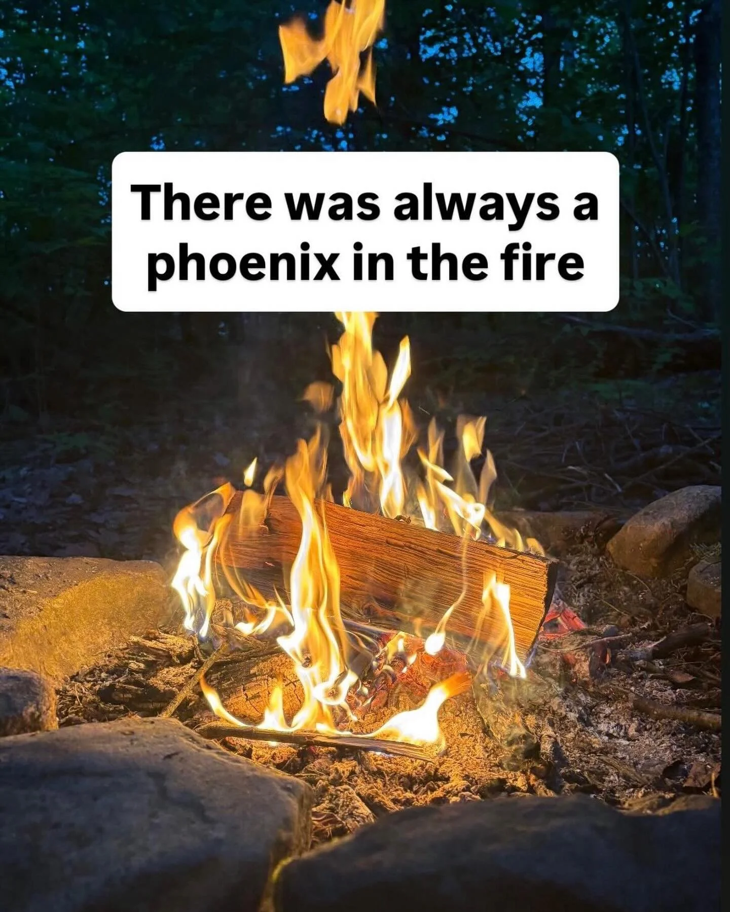 There was always a phoenix in the fire

And there always will be.

 #selflove #nolongersupply #removeallobstacles #rearendedintothefuture #purposealigned