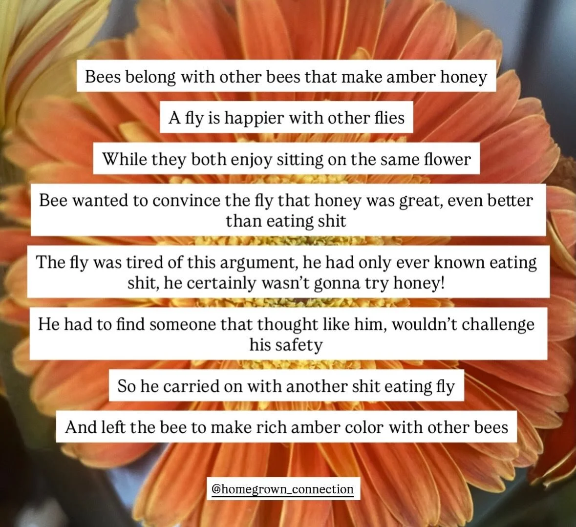 Bees belong with other bees that make amber honey

A fly is happier with other flies

While they both enjoy sitting on the same flower

Bee wanted to convince the fly that honey was great, even better than eating shit

The fly was tired of this argum