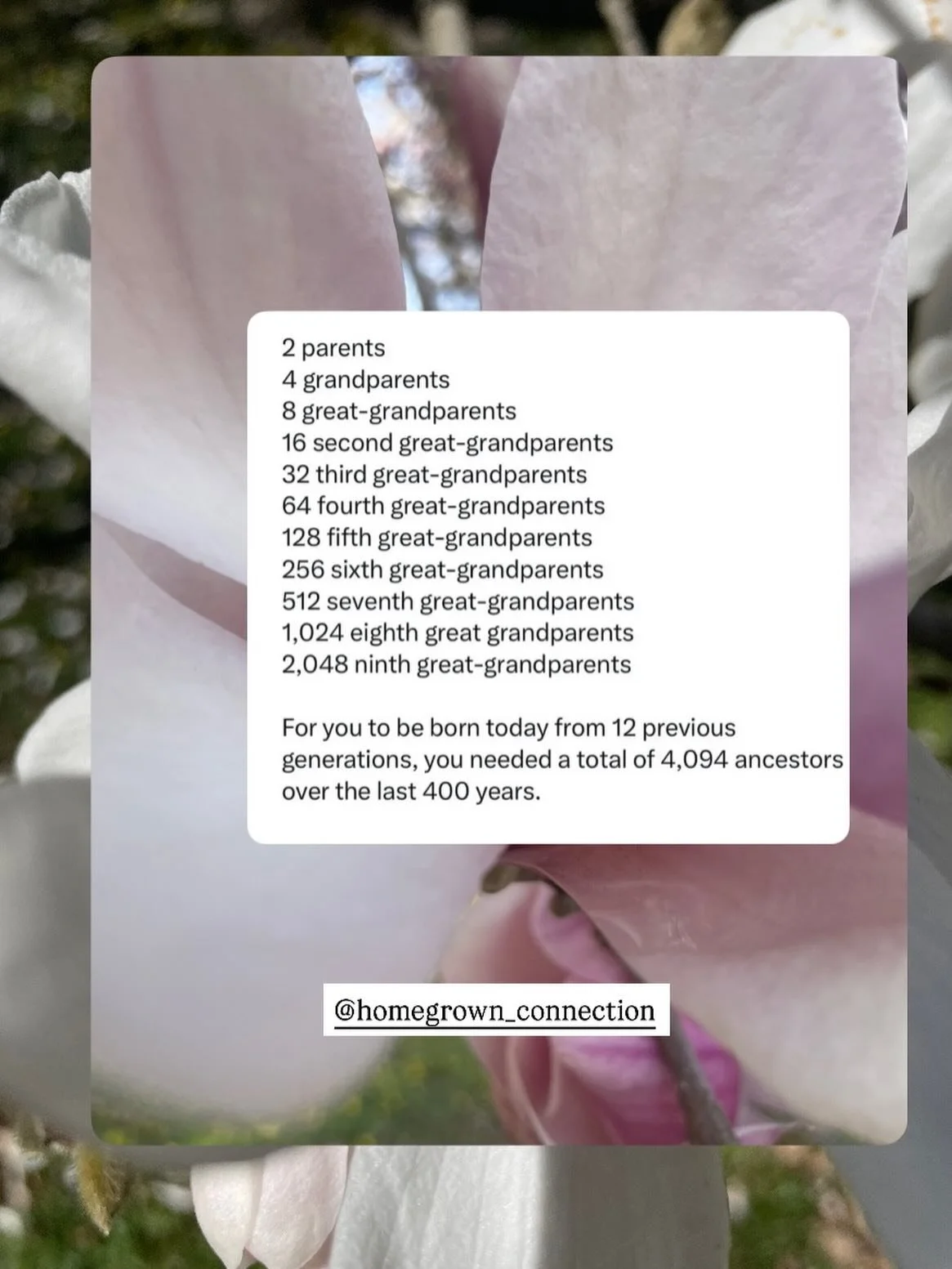 A lot of people needed to exist in order to create you

Epigenetics is the study of how behaviors and environment cause changes within the genome, and thus affect the way genes express themselves 

It&rsquo;s the study of how a multitude of tiny deci