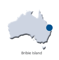 Screen Shot 2019-08-14 at 8.27.37 PM.png