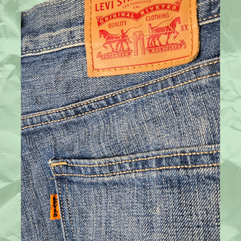 Levi's Shorts d.png