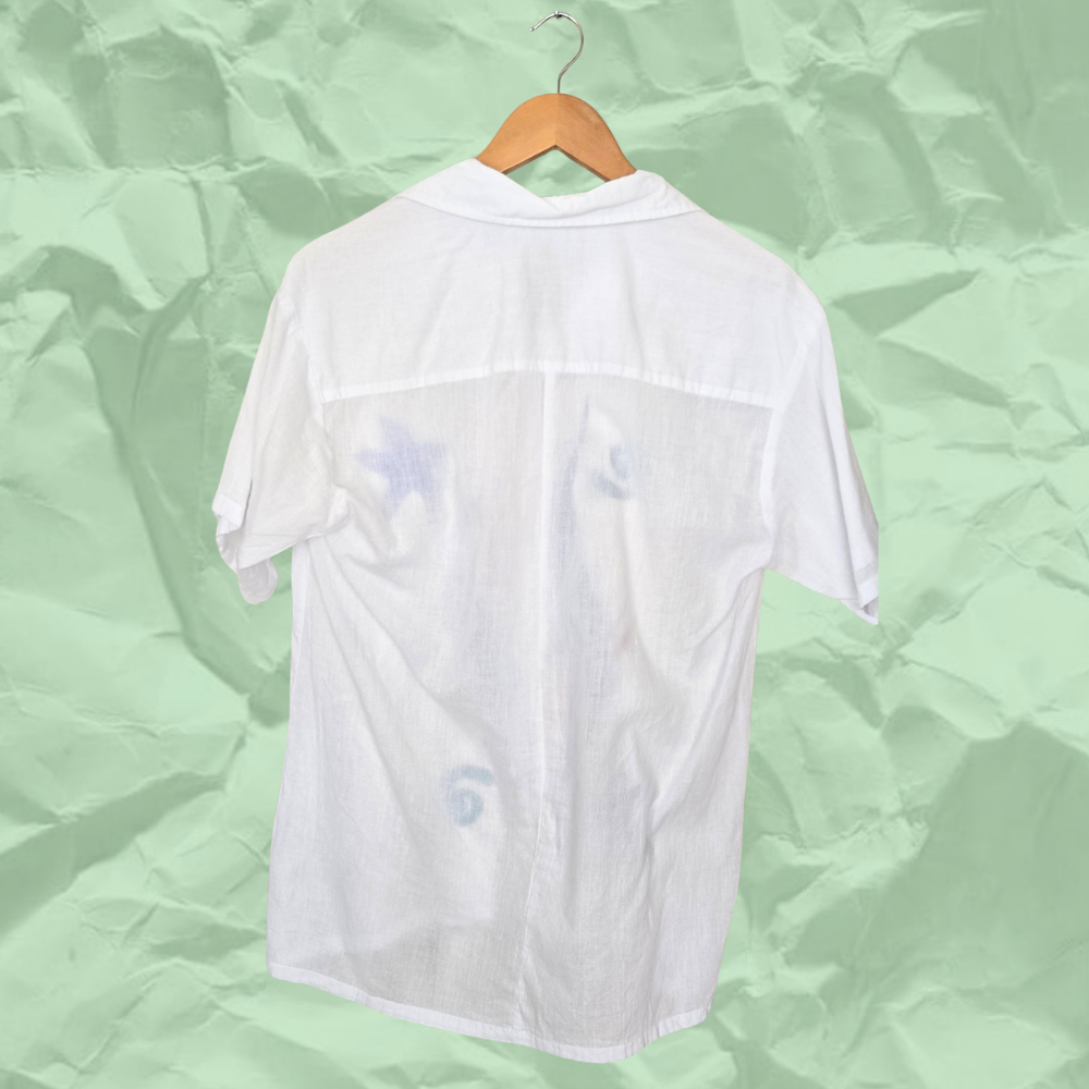 Starfish d (2).png