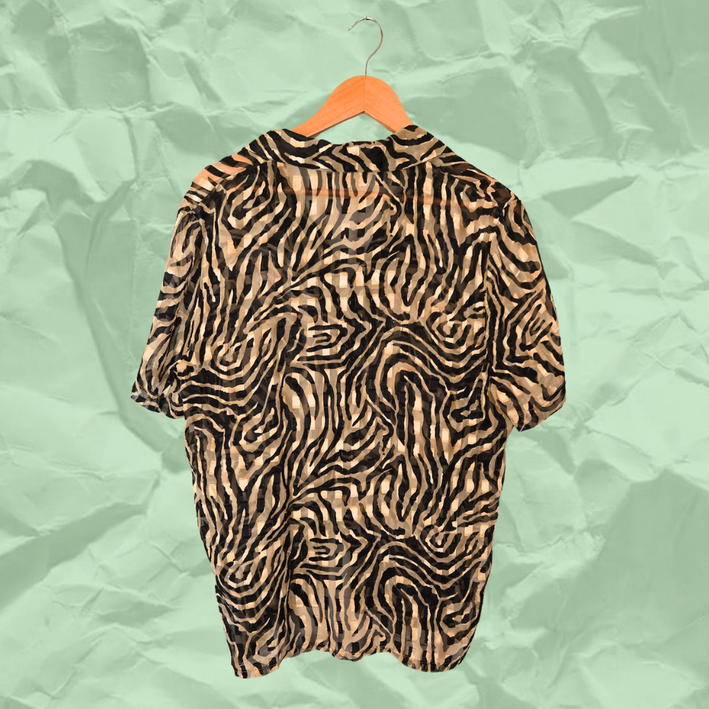 Zebra b.png
