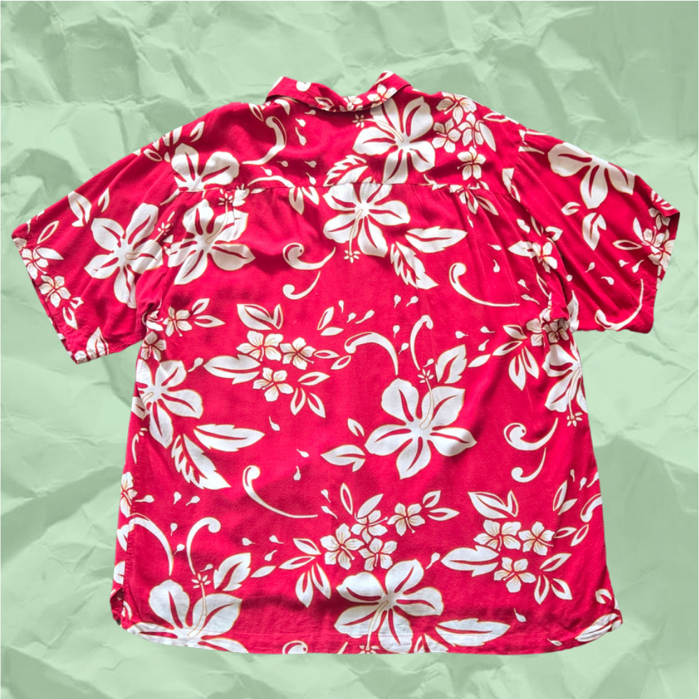 Hallenstiens hawaiian b.png