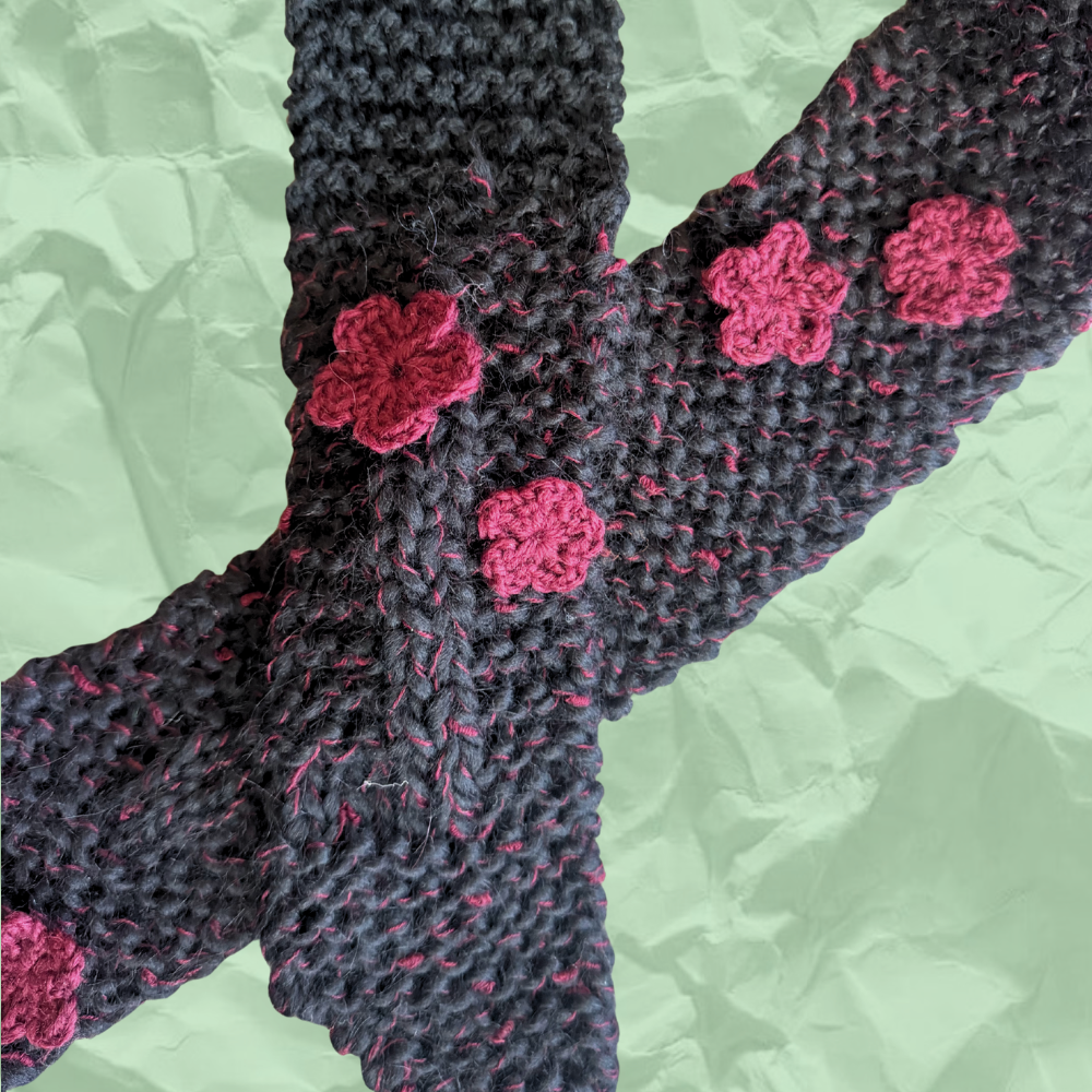 Black & Maroon Scarf d.png