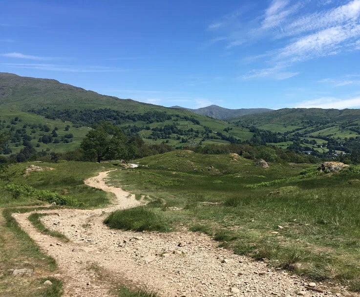 The Fell