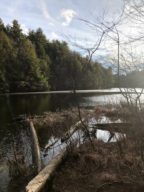 The Trail