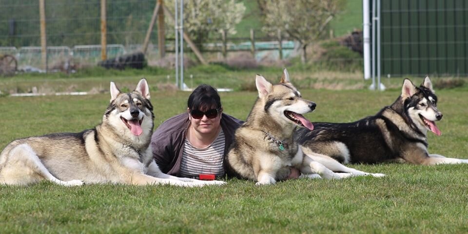 mum and dogs.jpg