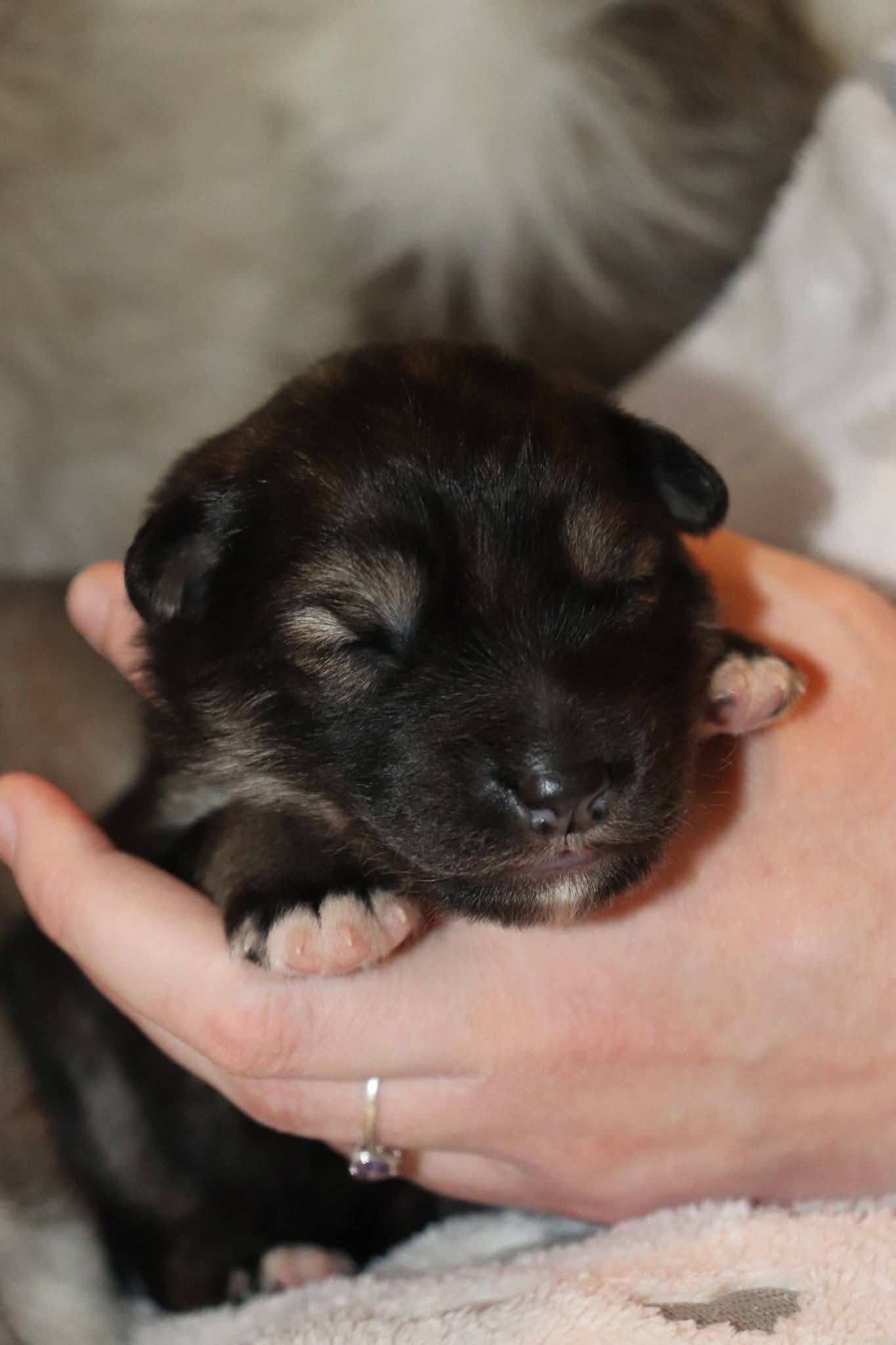 crystalbloom - 1 week old.jpg