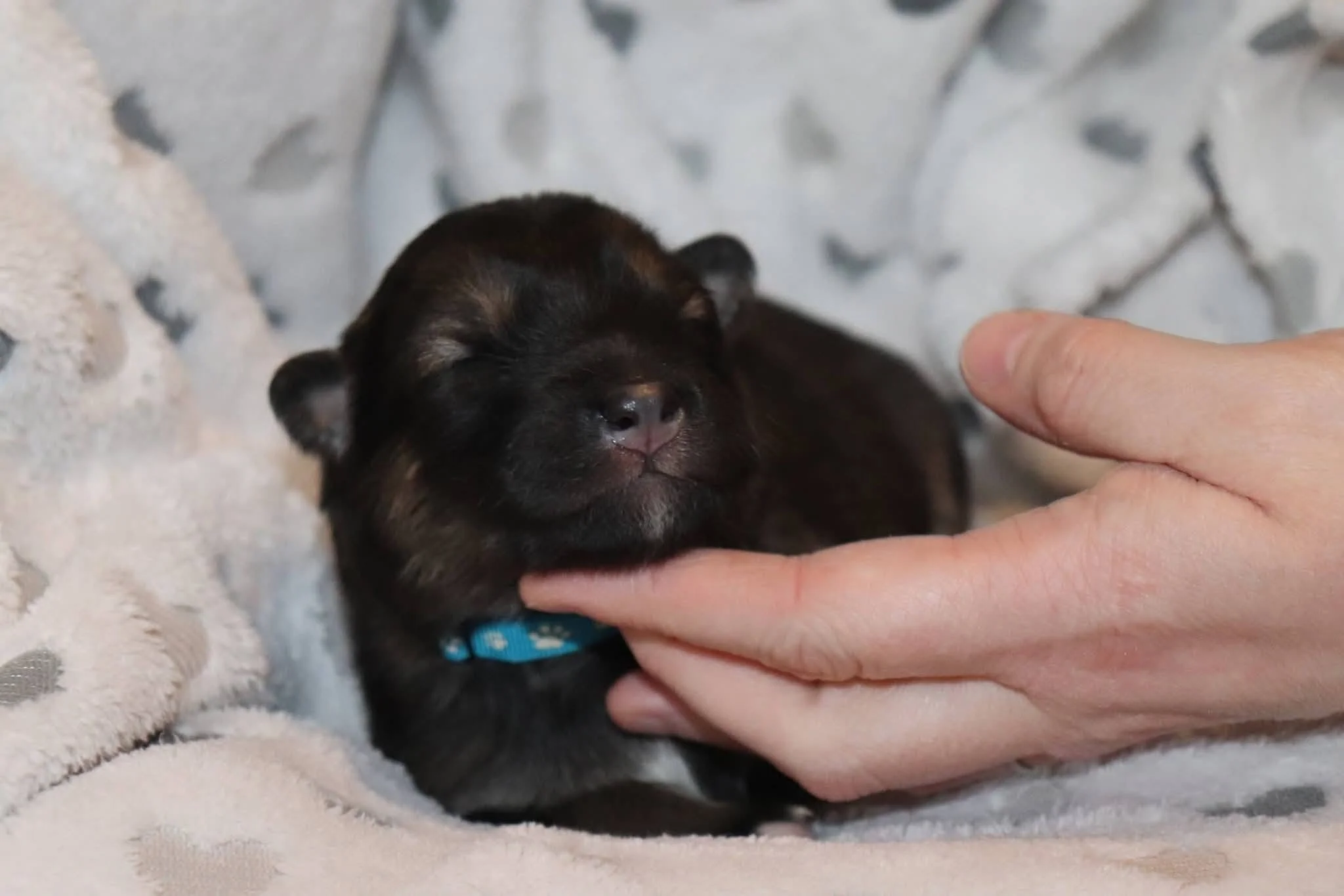elderbark - 1 week old.jpg