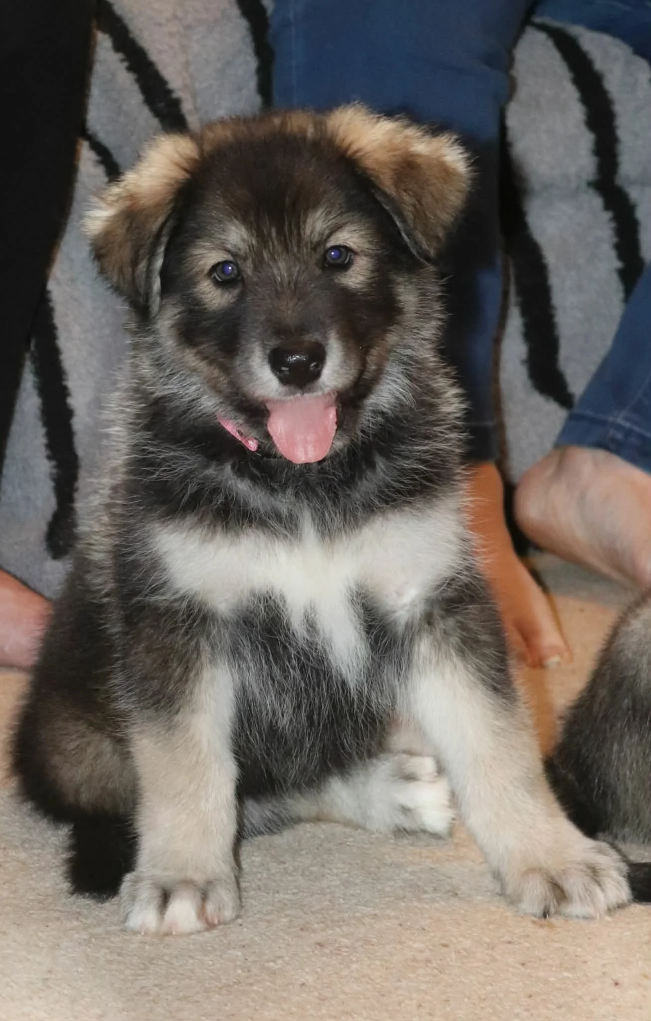 crystal 6 weeks.jpg