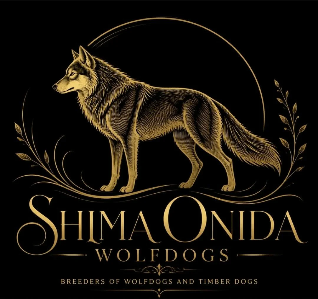 Shima Onida