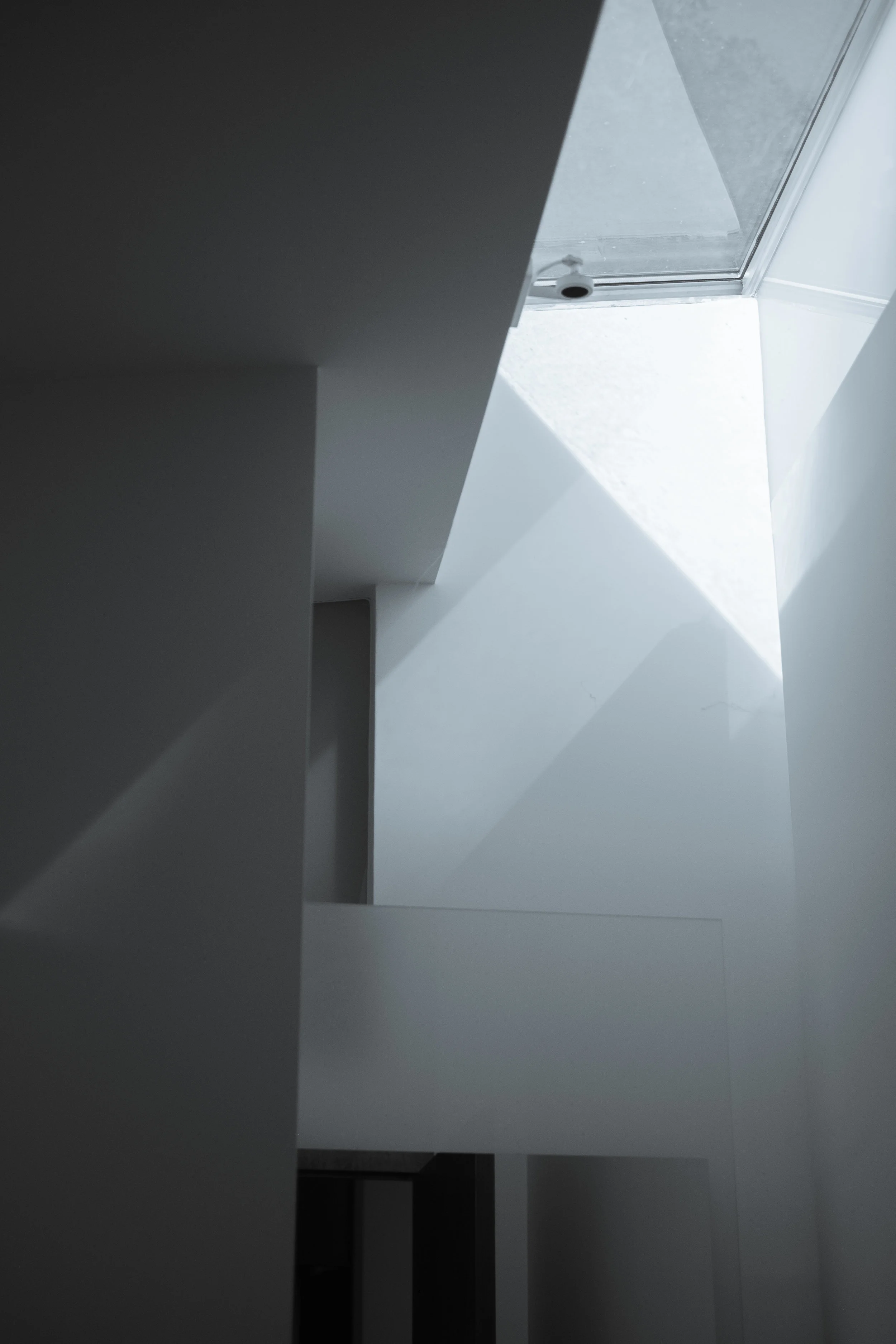 DSCF8600.jpg