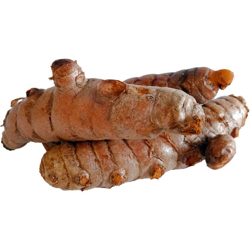 Curcuma