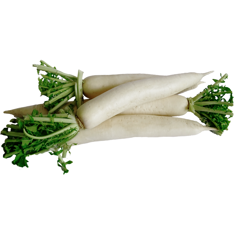 Daikon