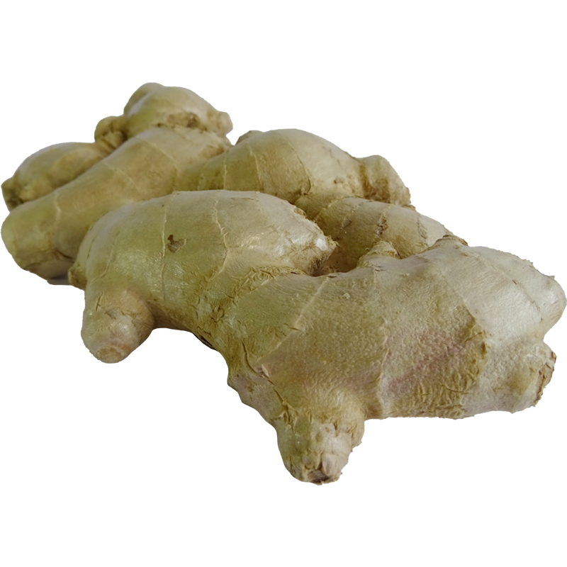 Ginger