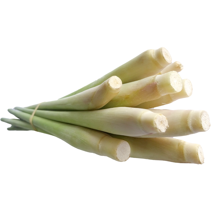 Lemon Grass