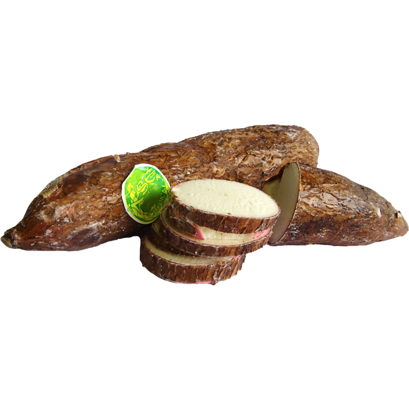 Manioca (Yuca)