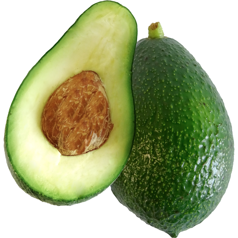 Avocado Fuerte
