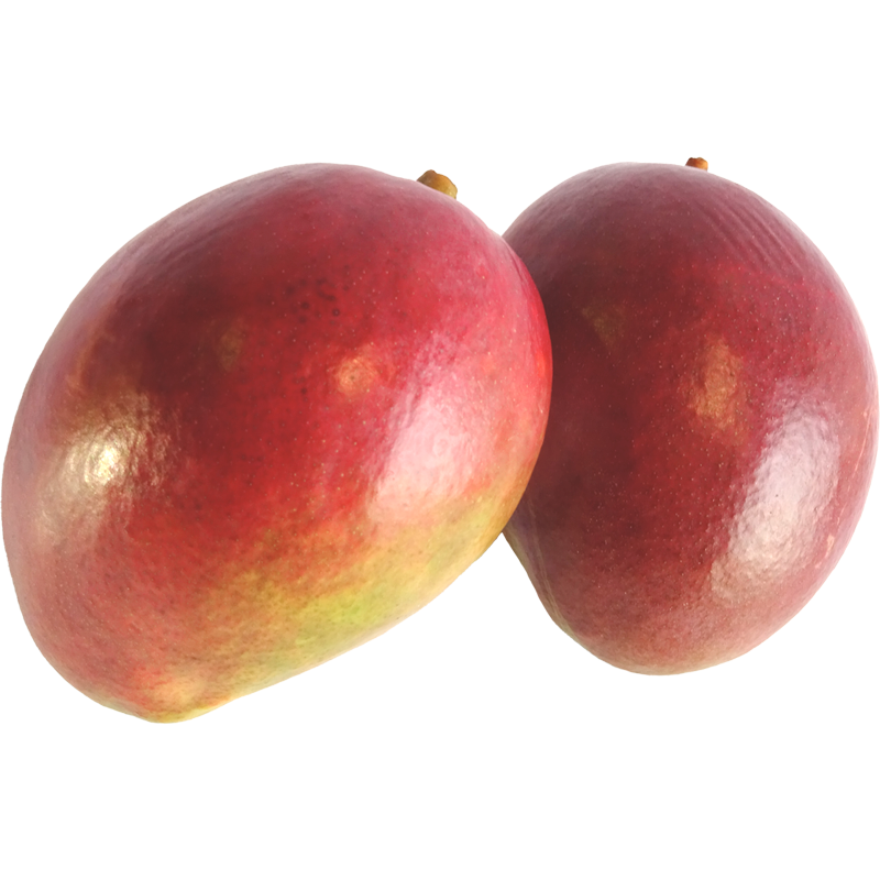 Mangos Mare-Tommy